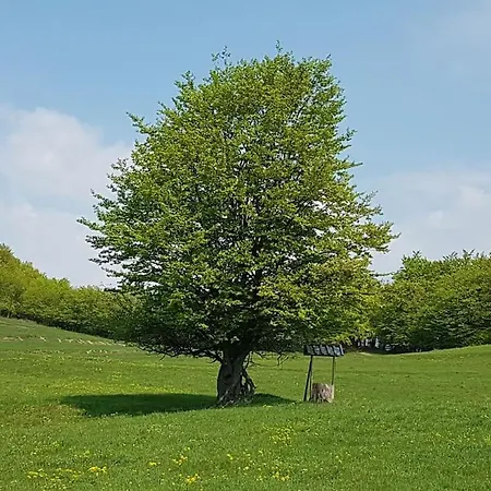 Tranquil In Banska Stiavnica Mountain * Uhliska