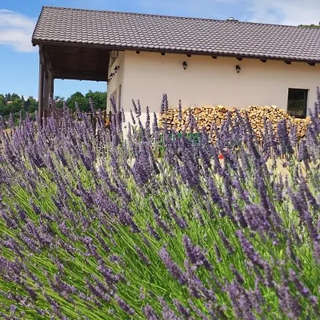 Dovolenkový dom Tranquil In Banska Stiavnica Mountain *