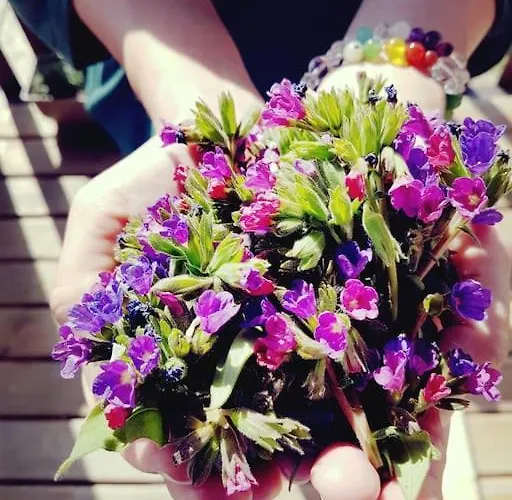 Tranquil In Banska Stiavnica Mountain Uhliska