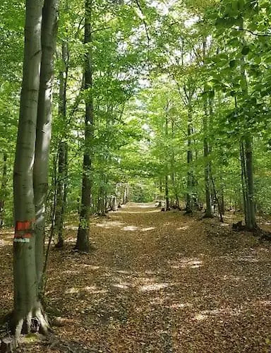 Tranquil In Banska Stiavnica Mountain