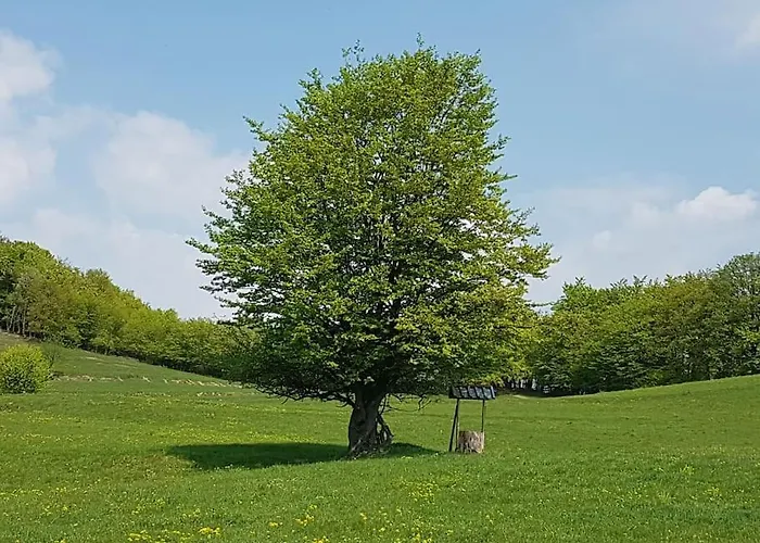 Tranquil In Banska Stiavnica Mountain * Uhliska